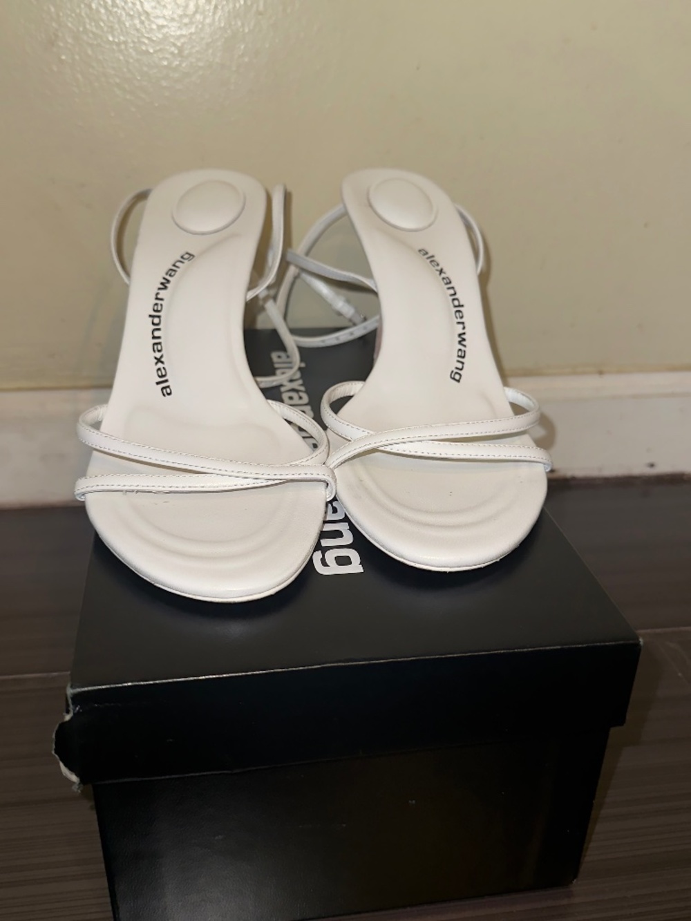 Alexander wang heels